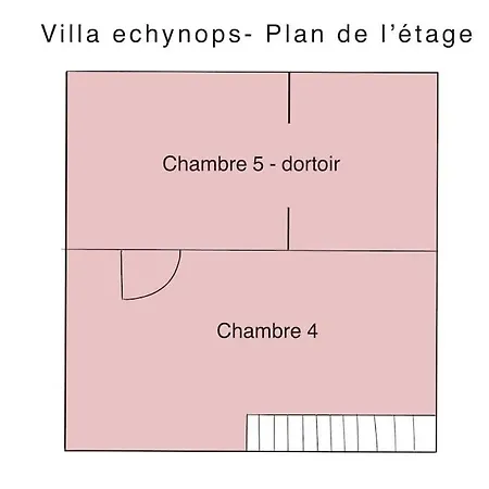 Echynops, Derriere Les Dunes *